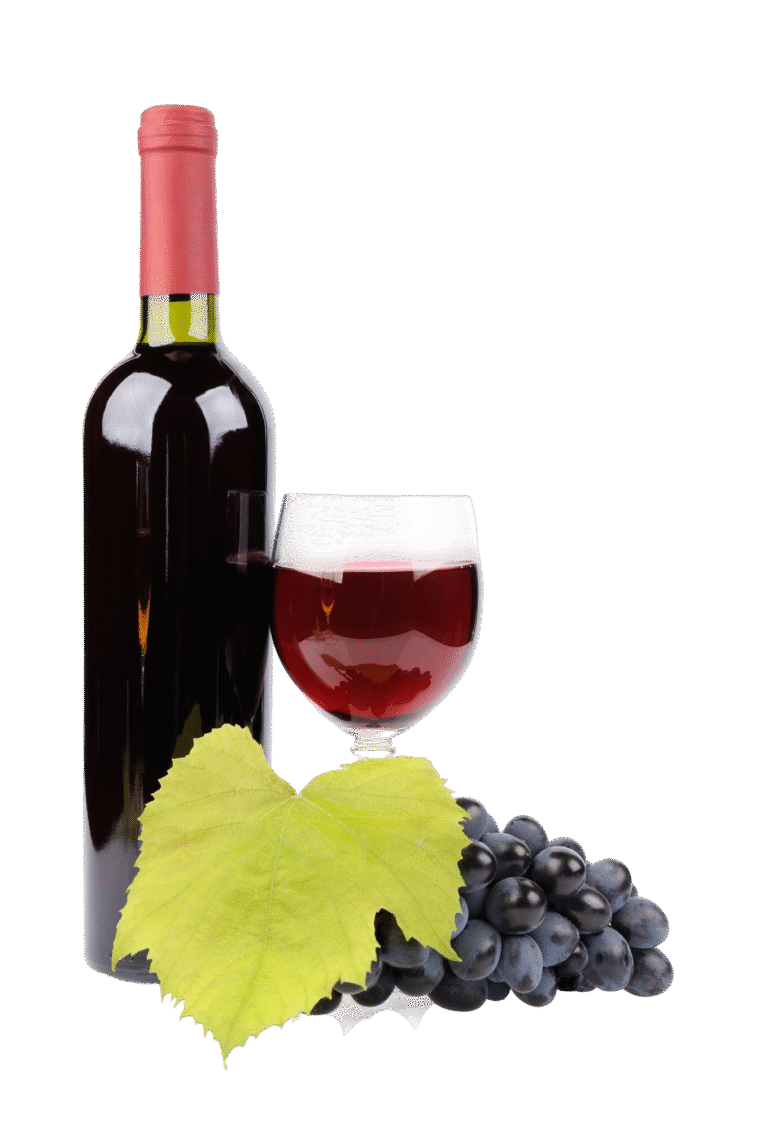 Servicios Asesoría Enológica en Valdepeñas